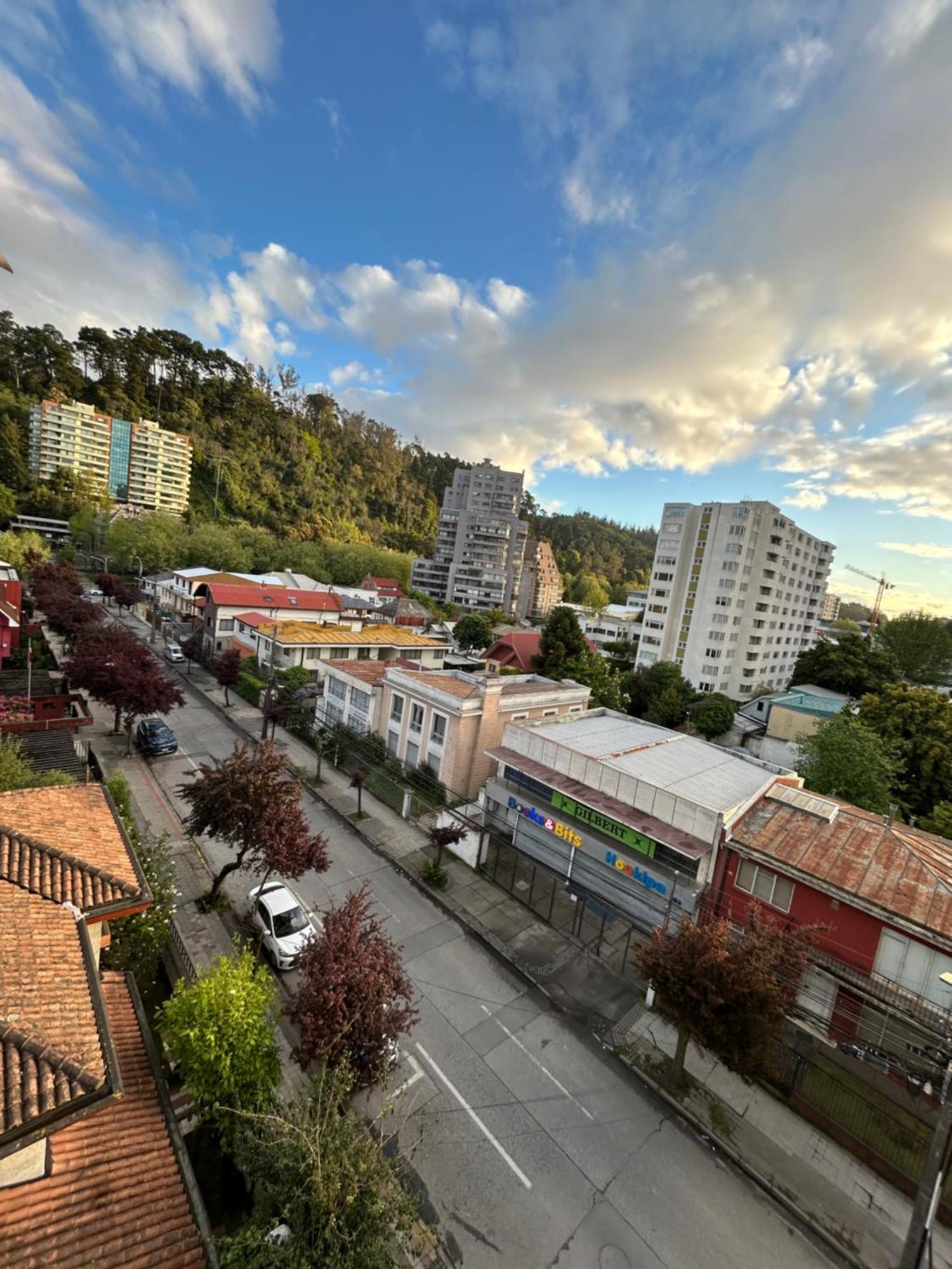 Mirador Parque Apartment กอนเซปซิออน ภายนอก รูปภาพ